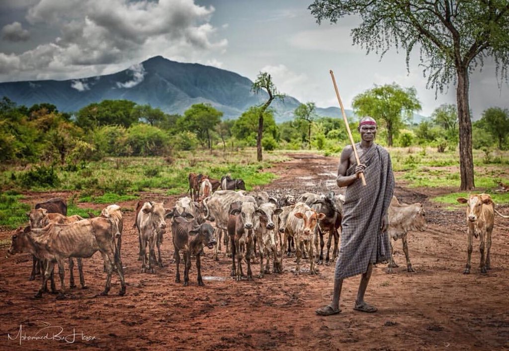 HaberTanzanya's tweet photo. ▪Evdeki barış, savaşı başka ülkelere gönderir.

[#Afrika #Atasözü -#Ovambo] https://t.co/9Jt4nljfQo