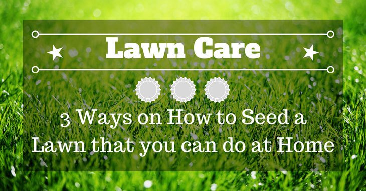 Ella Wilson tweet media