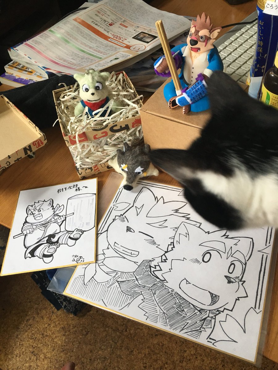 けもけでの、差し入れやプレゼント本当ありがとうございました〜!

…猫!! 