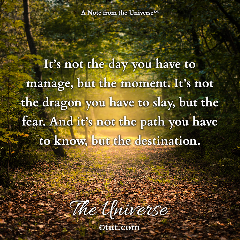 Mike Dooley tweet media