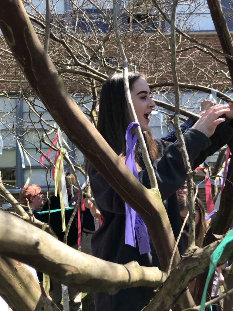 AMSLibraryReads's tweet photo. 8th graders making wishes on Wishing Day @AnnapMSAACPS! #amswishtree2018 https://t.co/WZPTay6nJn