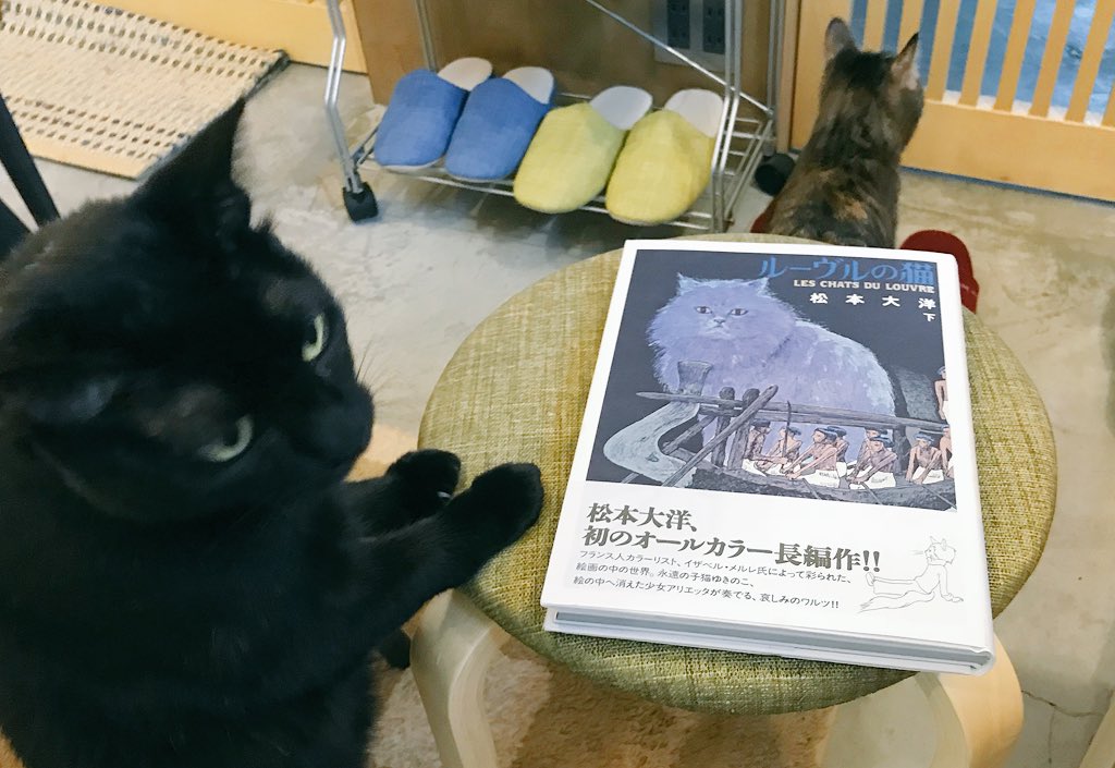 ルーヴルの猫フルカラー豪華版 上下セット Amazon.co.jp: ルーヴルの猫 オールカラー豪華版 (上) (ビッグ