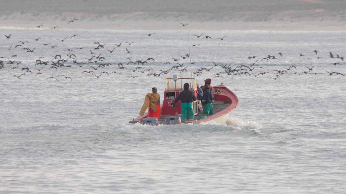 Fishing and surf report coming up at 7:20am every morning on <a href="/Heart1049FM/">Heart FM</a> . Took this pic yesterday in Lamberts Bay. Busy, busy, busy!