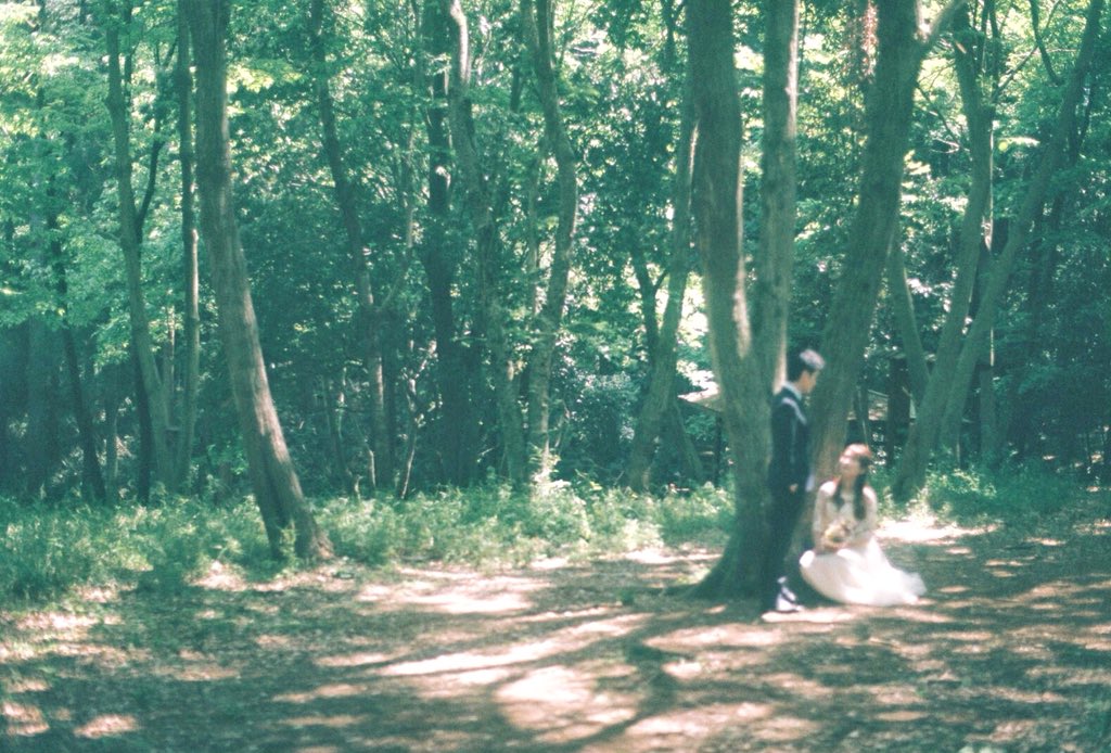 oshimi_'s tweet photo. 友達の結婚式の前撮りさせてもらったのです https://t.co/AdnybJ5IZ4