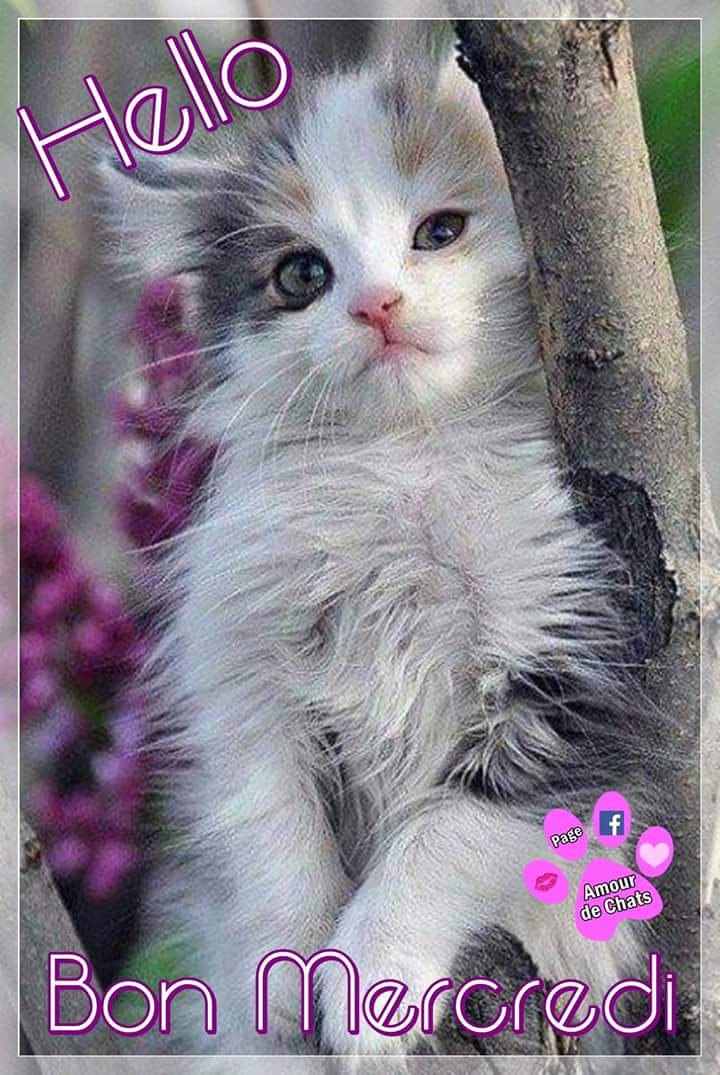 Laury Twitter पर Maya Soulasvalerie Mlle Prune Martinatacha31 Rimiquen Dsm Sebyofficiel Klingerlydie Bonjour Bon Mercredi A Toutes Bisous T Co Xuiwsjijor Twitter Laury Twitter पर Maya Soulasvalerie Mlle Prune Martinatacha31 Rimiquen Dsm Sebyofficiel Klingerlydie Bonjour Bon Mercredi A Toutes Bisous T Co Xuiwsjijor Twitter