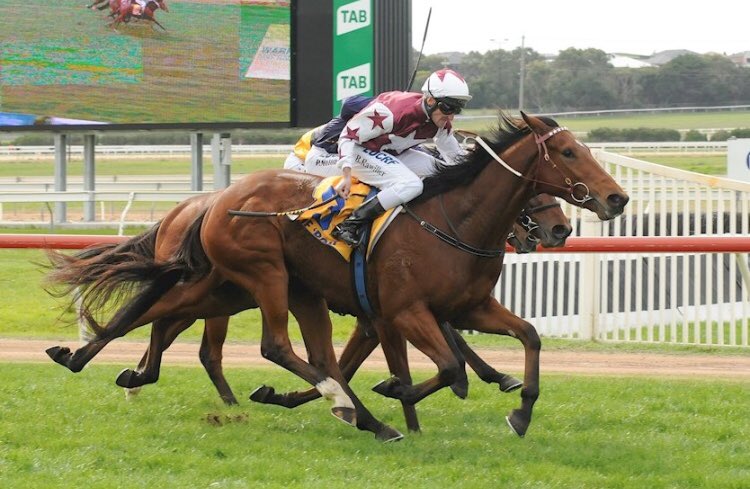 BigBadBaz2017's tweet photo. Winner winner #howbloodygoodistheBool https://t.co/TOxV1cu86m