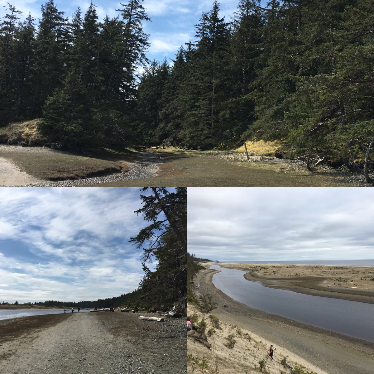 Exploring the #Tlell river today with the grade 6/7 class #landbasededucation #outdooreducation #bced #getoutthere #haidagwaii
