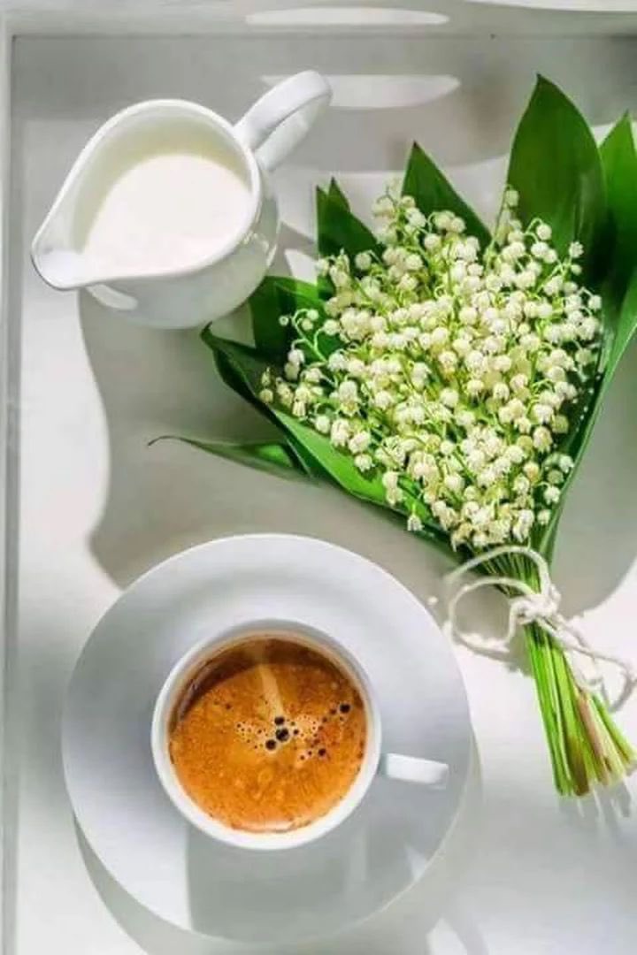 UlrikaNyberg's tweet photo. Good Morning everyone☕️
Wish you all a great day💚 https://t.co/rIbOZw0iOS
