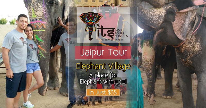its_tourism's tweet photo. #ElephantVillage
A place for Elephant with you!
in Just $35
For more detail - Call us/Whats app at +919953667093 OR Email us at info@indiatoursservices.in
Contact us and Get Exclusive Deals!
#HolidayTour #FamilyHolidays #JaipurHoliday #IndiaHoliday #JaipurPackage #JaipurTour https://t.co/tVFFMP9pCN