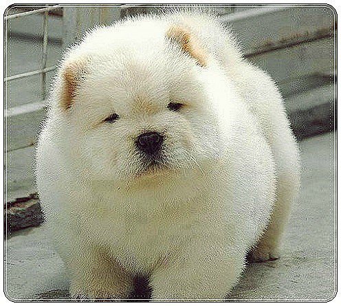 하음내 (@ha_em_ne) on Twitter photo 