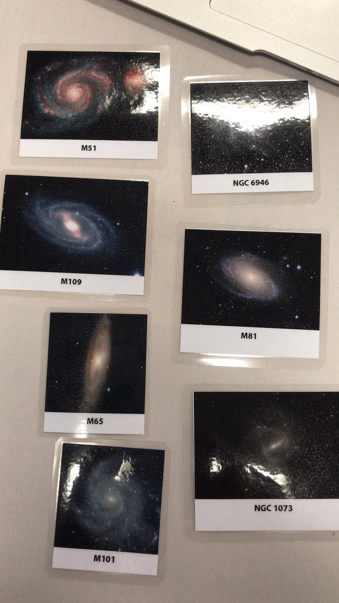 Elise Simpson tweet media