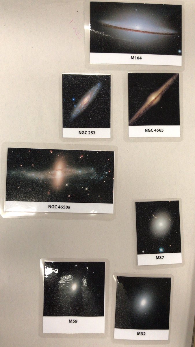 Elise Simpson tweet media