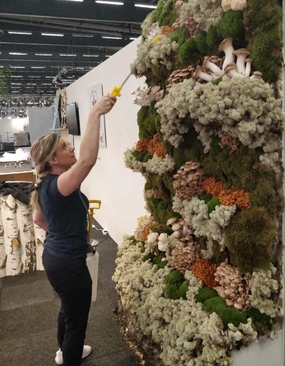 malinsorunda's tweet photo. GastroNord 2018 #gastronord #swedishdesign #muschroom #finedining #Chefs #Restaurantes #nature https://t.co/IUDYV4NAtr
