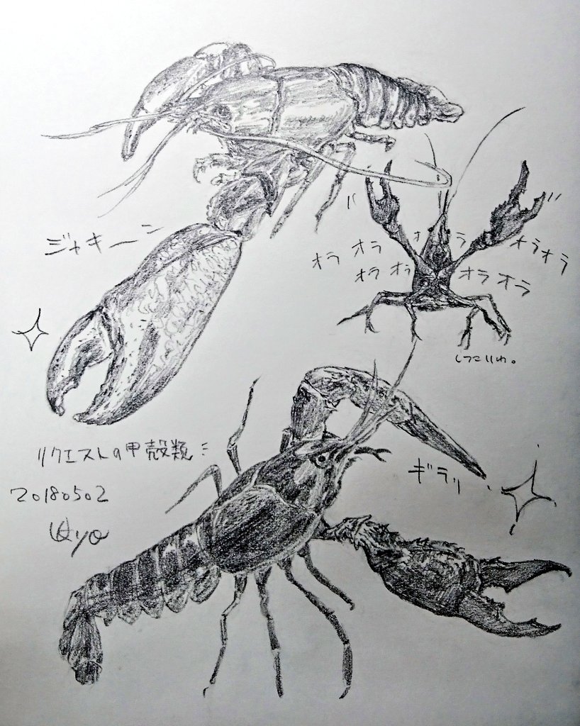 Kagetsu Ukyo 卯京 華月 En Twitter 今日の落書き 甲殻類づくし 個展でのリクエストにお答えしてザリガニとか描きました 落書き 鉛筆画 練習 素描 一日一絵 今日の落書き 絵描き Art 甲殻類 ザリガニ 絵描きさんと繫がりたい 絵描きの