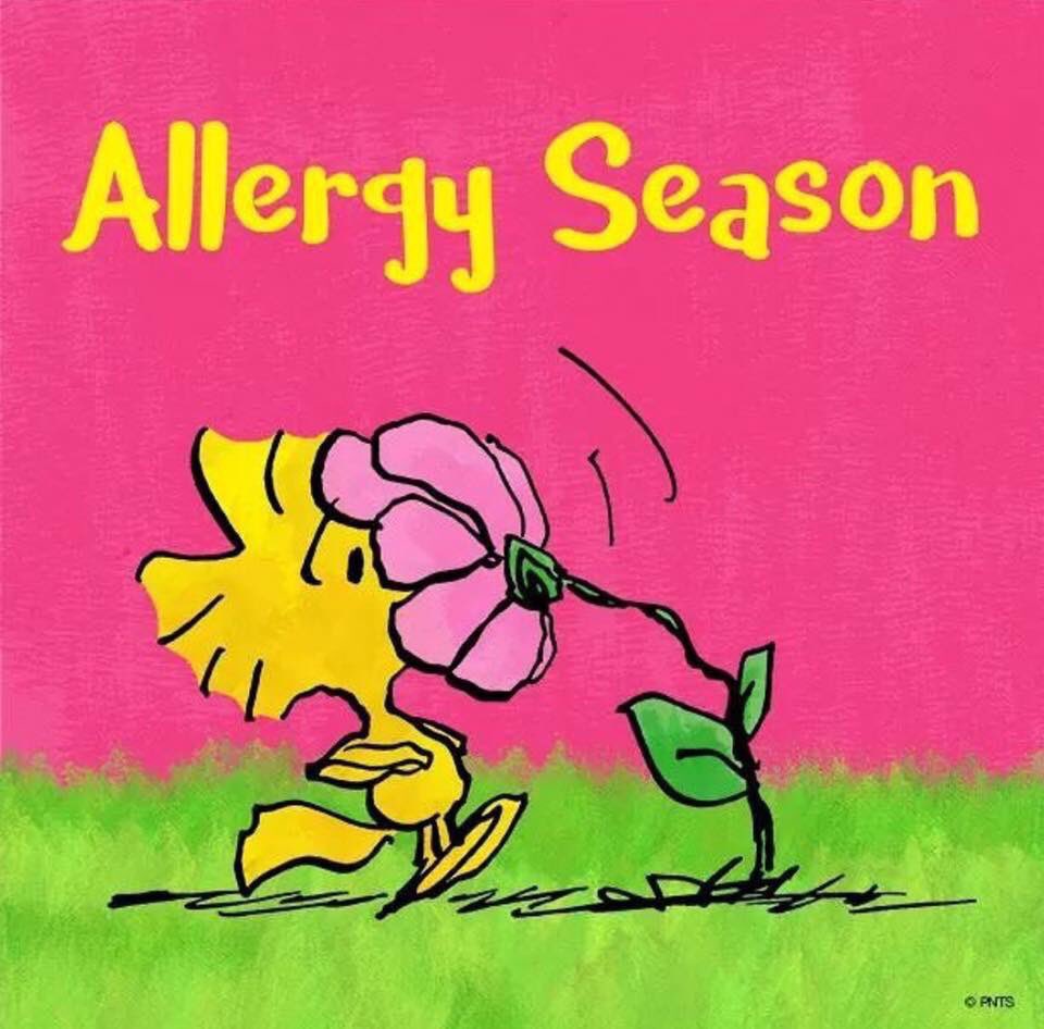 BrenDee85's tweet image. #SpringProblems 🤧