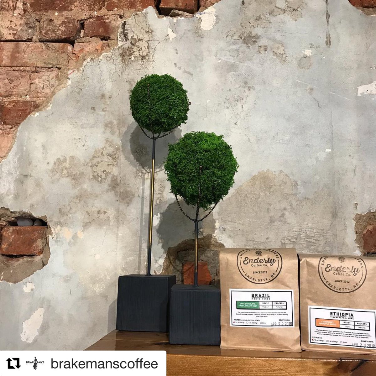 enderlycoffeeco's tweet photo. Hey Matthews.... 😘
#Repost @brakemanscoffee with @get_repost
・・・
New feature roaster in the cafe! Welcome to the month of May, brake people! #featureroaster #enderlycoffee #brakemanscoffee @brakemanscoffee https://t.co/SmhCmpnbiM