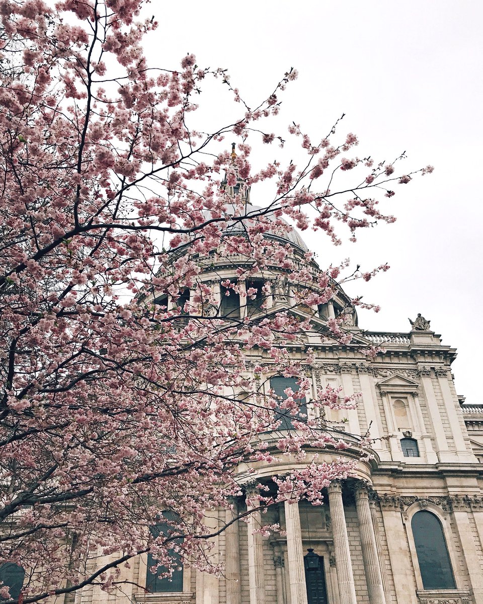 LondonMarriott's tweet photo. Retweet if you love seeing London in bloom. 🌸 #visitlondon #MarriottTRAVELER https://t.co/OGrI3Vy55M