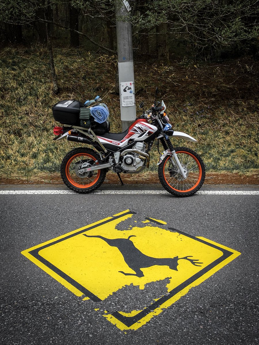 jirotezza's tweet photo. 良きキャンプやった…
セローちゃん550kmおつかれさま！！
#YAMAHAが美しい https://t.co/p1fwqPrtUQ