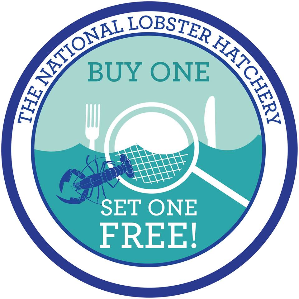 FishforThought1's tweet photo. Chefs, It's time to get Pot Caught Cornish Lobster on your menu! Sustainable, Luxurious &amp; Delicious. To add to that you'll be helping preserve lobster stock for generations to come @PadstowLobster #BuyOneSetOneFree 01208 262201 https://t.co/498CfB9jaH