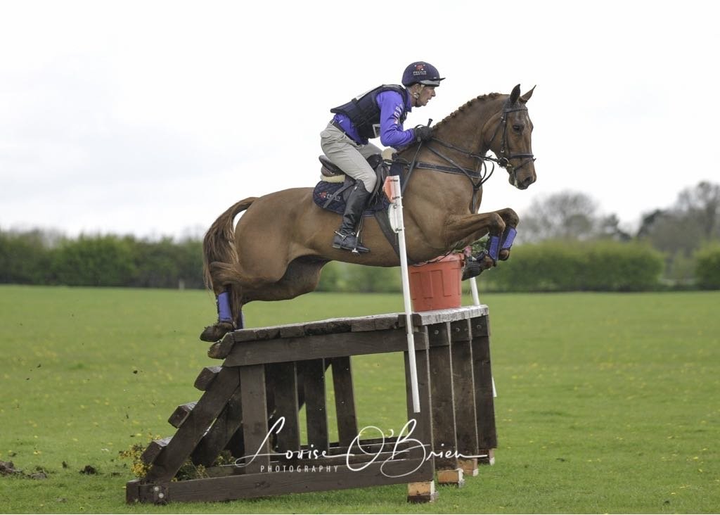 PegusHorseFeed's tweet photo. 2  special horses Keonan Hero  Grand Mariner flying  #fedonoegus @ThompsonFeeds @LiffeyMills @CoOpSuperstores https://t.co/srKQLeONak