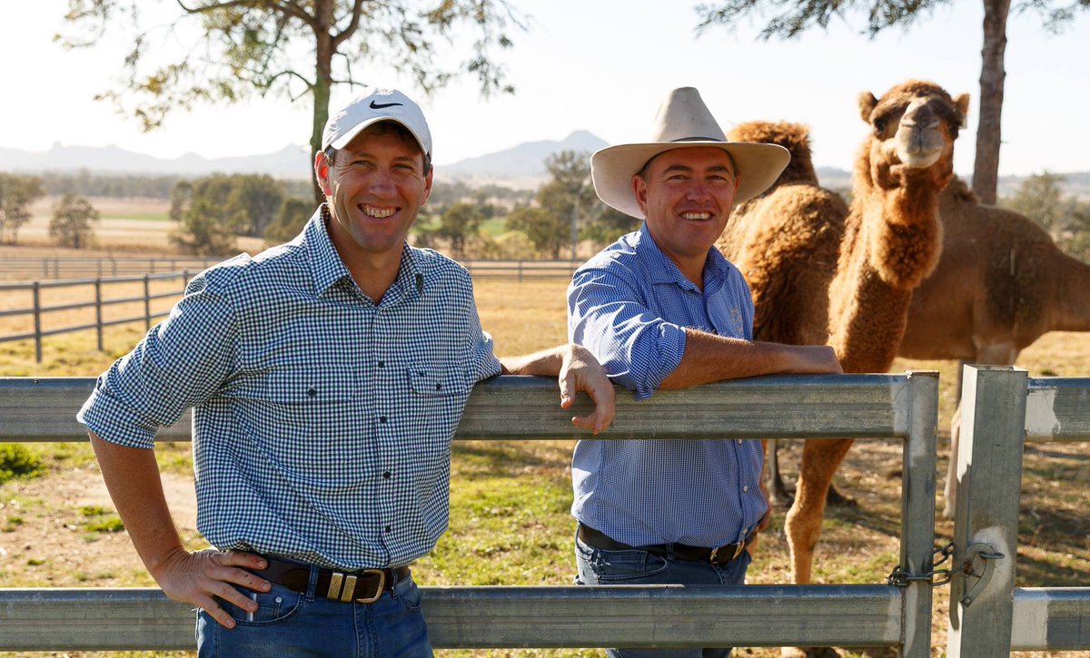 Visit Scenic Rim tweet media