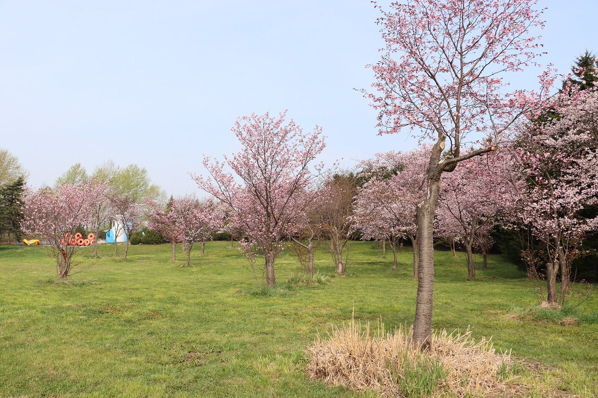 まると 北海道キャンプライフ モエレ沼公園 ひと通りまわったら疲れた 1時間以上は普通にかかる もちろんモエレ山は登ってません T Co Owjahkrl1c Twitter