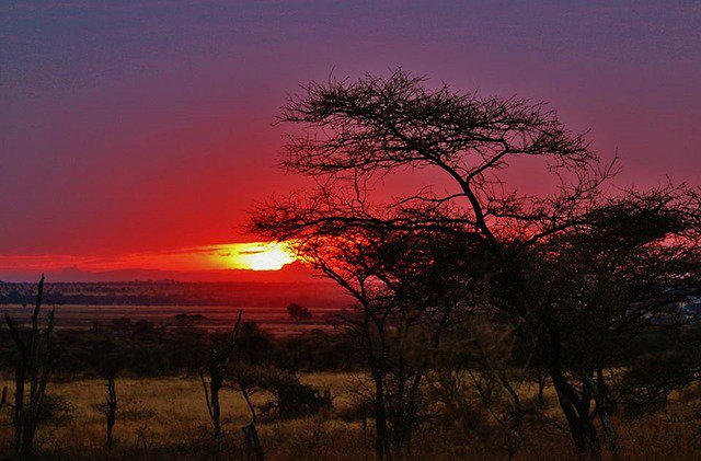 DearWanderlust's tweet photo. What an awe-inspiring sunrise!!! #serengeti #explore #adventure https://t.co/lLadVpXcIl
