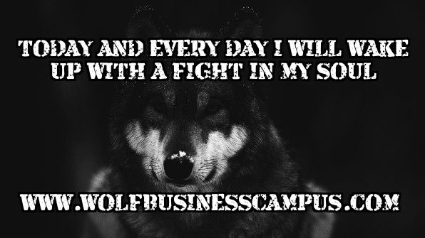 dancarsonwolf's tweet image. 