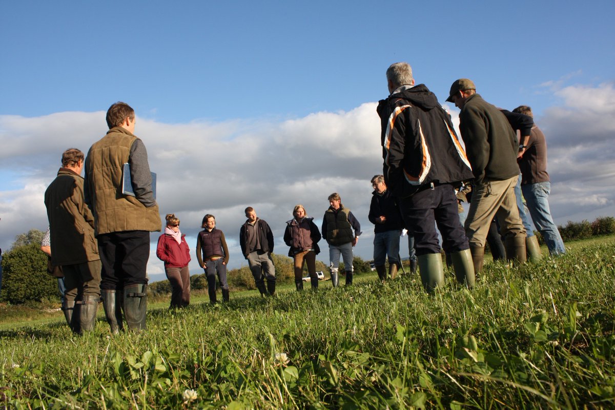 Just one week to go until our network day! We'll be talking soils, cover crops, min-till, livestock health, herbal leys, intercropping...and much more besides. Have you got your ticket? innovativefarmers.org/events/innovat…