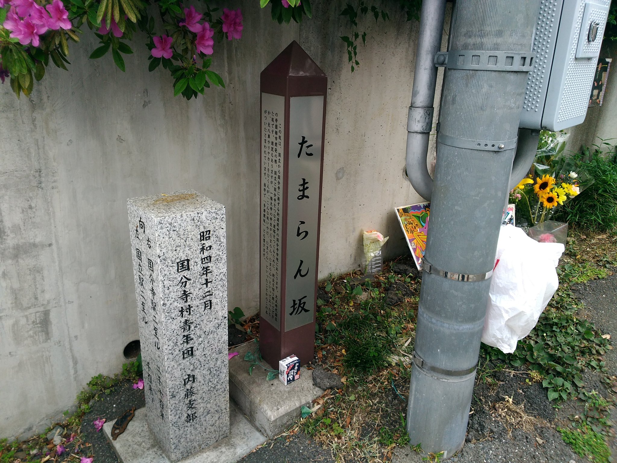 改 Kai 今日はここ 多摩蘭坂 たまらん坂 忌野清志郎 T Co Awhlqaoyz4 Twitter