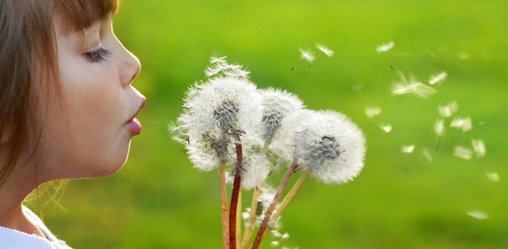 Nachhaltigkeit spielt immer wichtigere Rolle. Die Verpackung wird dabei häufig übersehen, dabei ergibt sich hier die Möglichkeit, die Nachhaltigkeit eines Produkts spürbar – und  mit grosser Aussenwirkung – zu erhöhen. wipf.ch/blog.html