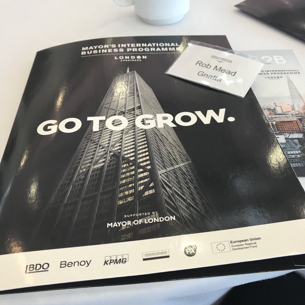 RWAM19's tweet image. Great to be representing @Gnatta at the Cohort 9 launch event. Thanks to @GotoGrow_London and @L_Pbusiness for hosting us in City Hall this morning 👏