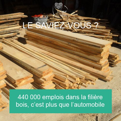👍 GENIAL!! Notre partenaire Coeur de Forêt a été retenu par l'appel à projet "Mon projet pour la planète" du ministère de la Transition écologique et solidaire! Leur projet : préserver les forêts françaises! Aidons les et votons avant le 11 mai! bit.ly/2IVfYX7