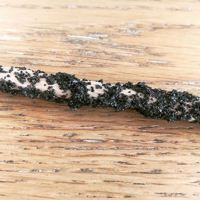 CrafteursReves's tweet photo. New selection of materials for the next wands ! #nicephore #magicwand #wand #harrypotter https://t.co/6aT1m9uwKS https://t.co/JD86rMTaWX