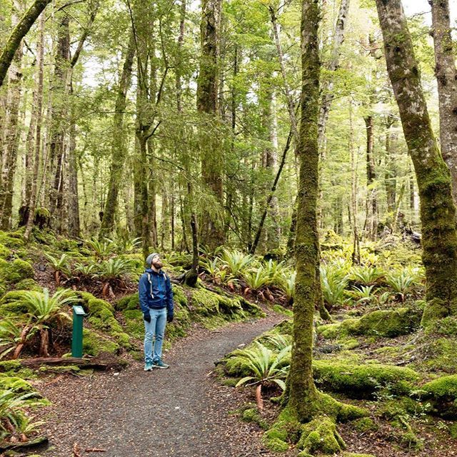 On the last weekend we traveled to Te Anau to spend a hiking weekend in the mountains of Fiordland Nationalpark. But the weather wasn’t really supporting our plans so we ended up on the first stretch of the multi day Kepler Track. New Zealand just always… ift.tt/2re9L1T