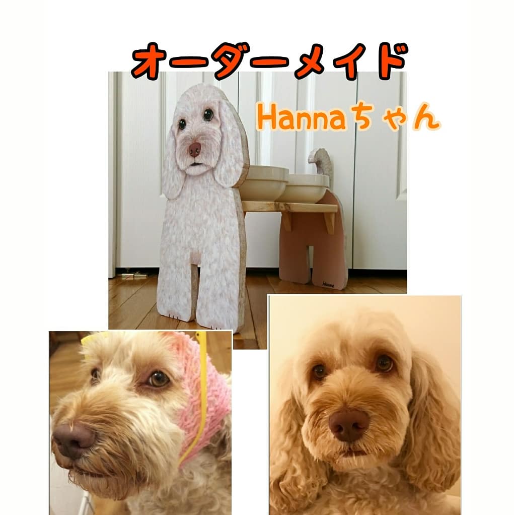 Porutan ハンドメイド ショップ Minne にて オーストラリアン ラブラドゥードル さんのお食事台のオーダーメイドを頂きました Hannaちゃん 食事台 食器台 フードスタンド フードボウル わんこ プレゼント Porutan ラブラドゥードル