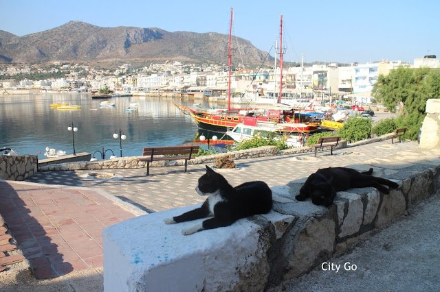city_go_'s tweet photo. The lovely town of Hersonissos in Crete 🇬🇷https://t.co/eaxro1HHzB
#Hersonissos #Greece #Travel #Beach https://t.co/eEj3CA3jzm