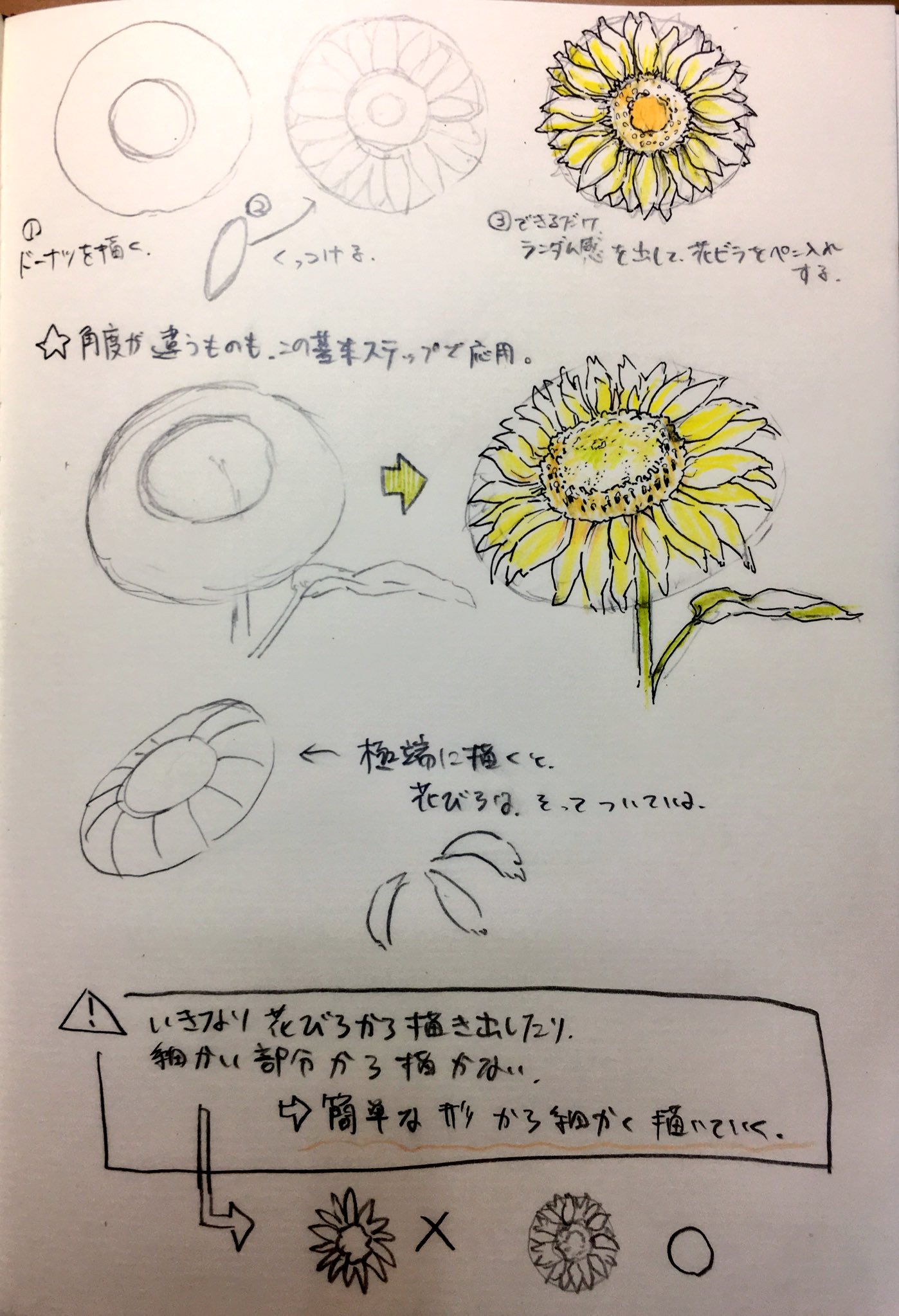 小石のような男 Pixivデイリーランキング1位目指します 在 Twitter 上 向日葵 お花 の簡単な描き方 ドーナツ 簡単な形の 細長いラグビーボール型 花びらをくっつける 仕上げ 基本太陽の方向を向いていることを意識して 軽く斜め上を向かせてドーナツ型