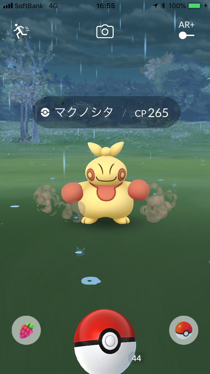 ポケモンgo マクノシタ アサナン色違いゲット組が羨ましすぎる やっぱり初日が大事 ポケモンgo攻略まとめ速報