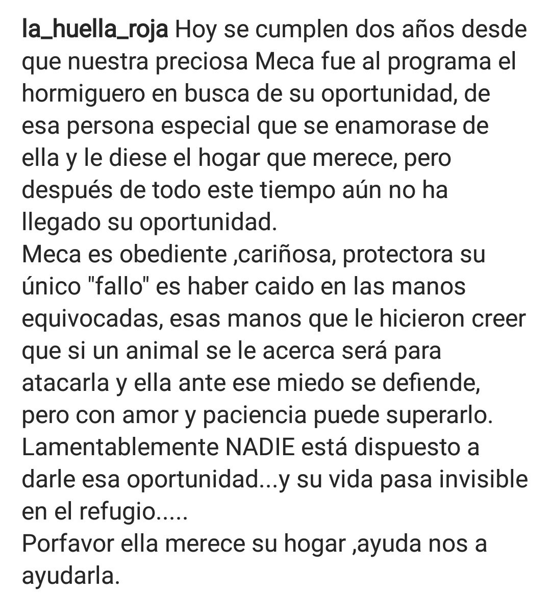 lahuellaroja's tweet image. Dos años ya, y nadie se fija en ella ☹️☹️☹️☹️☹️@El_Hormiguero @DANIROVIRA