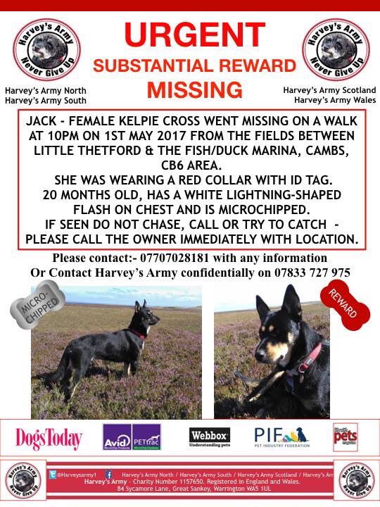 rosiedoc666's tweet photo. #maddogJack is #stillmissing #substantialreward female #Kelpie x disappeared #littleThetford & fish/duck #marina #Cambs #CB6 area 1/5/17
Poss sighting DO NOT CHASE SHES BEEN OUT A WHILE #survivalmode ๐พ๐๐พ Grunty Fen Road as leaving #Witchford https://t.co/uY4DLFciOy https://t.co/b9uCLhoYU6