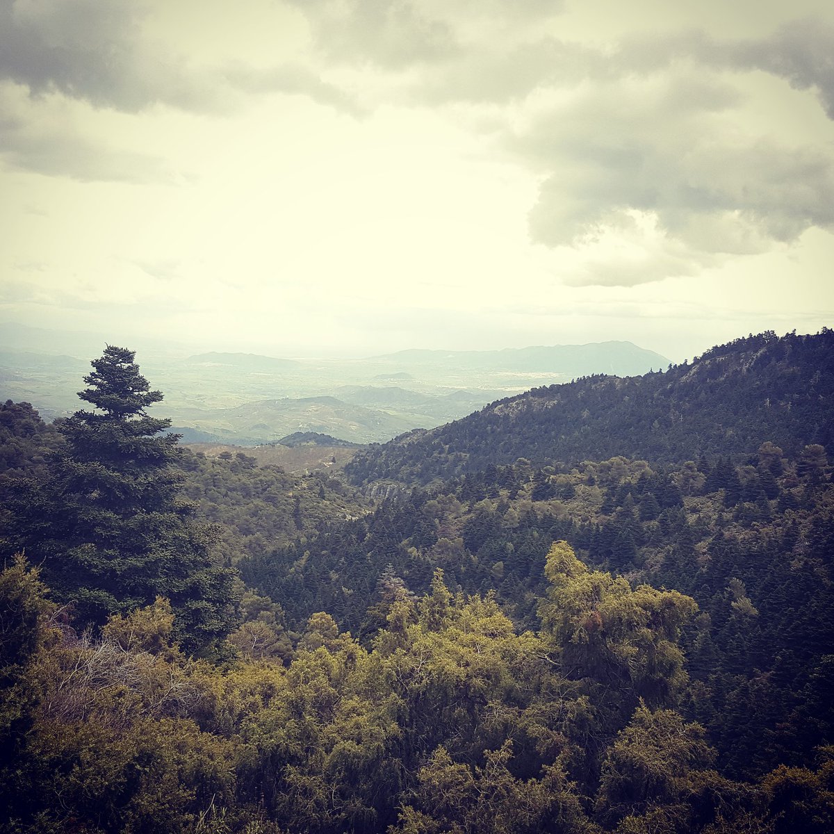 WiseOldJo's tweet photo. Breathing and connecting with self and something infinite #WednesdayWisdom #gogetsober #stopdrinking #lifeafteralcohol #wednesdaymotivation https://t.co/OOMNvXljmz