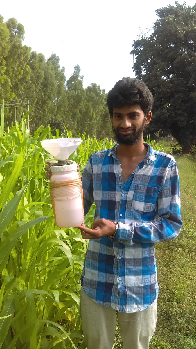 sian_loveless's tweet photo. Last day of field work with @atree_org @SOMSUBHRAROCKS for #Upscape project, collecting rainfall isotopes samples and another #fieldwork friend, a little frog in the bucket https://t.co/B9gKzL3GGP