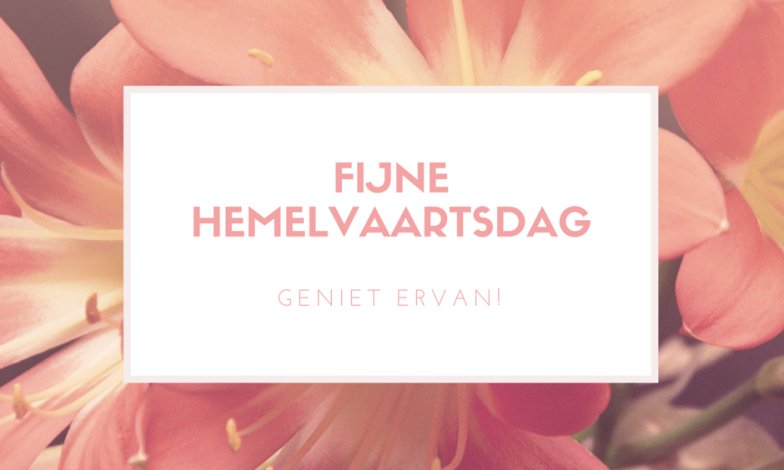 Wat zijn jouw plannen vandaag?
