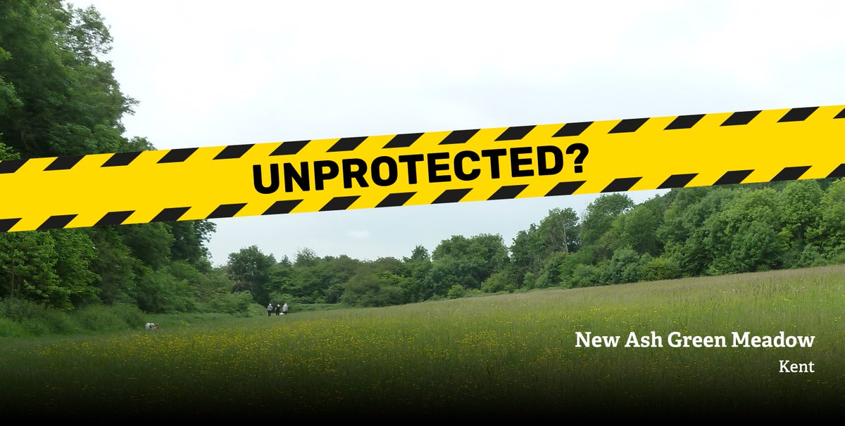 ALERT: 42,000 Local Wildlife Sites in England are at risk of losing their protection in new draft planning rules. This is a huge concern. Please ask the government to reverse this decision: wtru.st/saveLWS  #UnprotectedSites #ActSwiftly