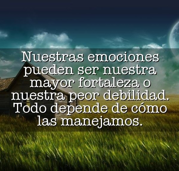 visconti_martin's tweet photo. En esto consiste la Inteligencia Emocional
#AcosoEscolar
#FelizMiercoles https://t.co/y3McOyEYNJ