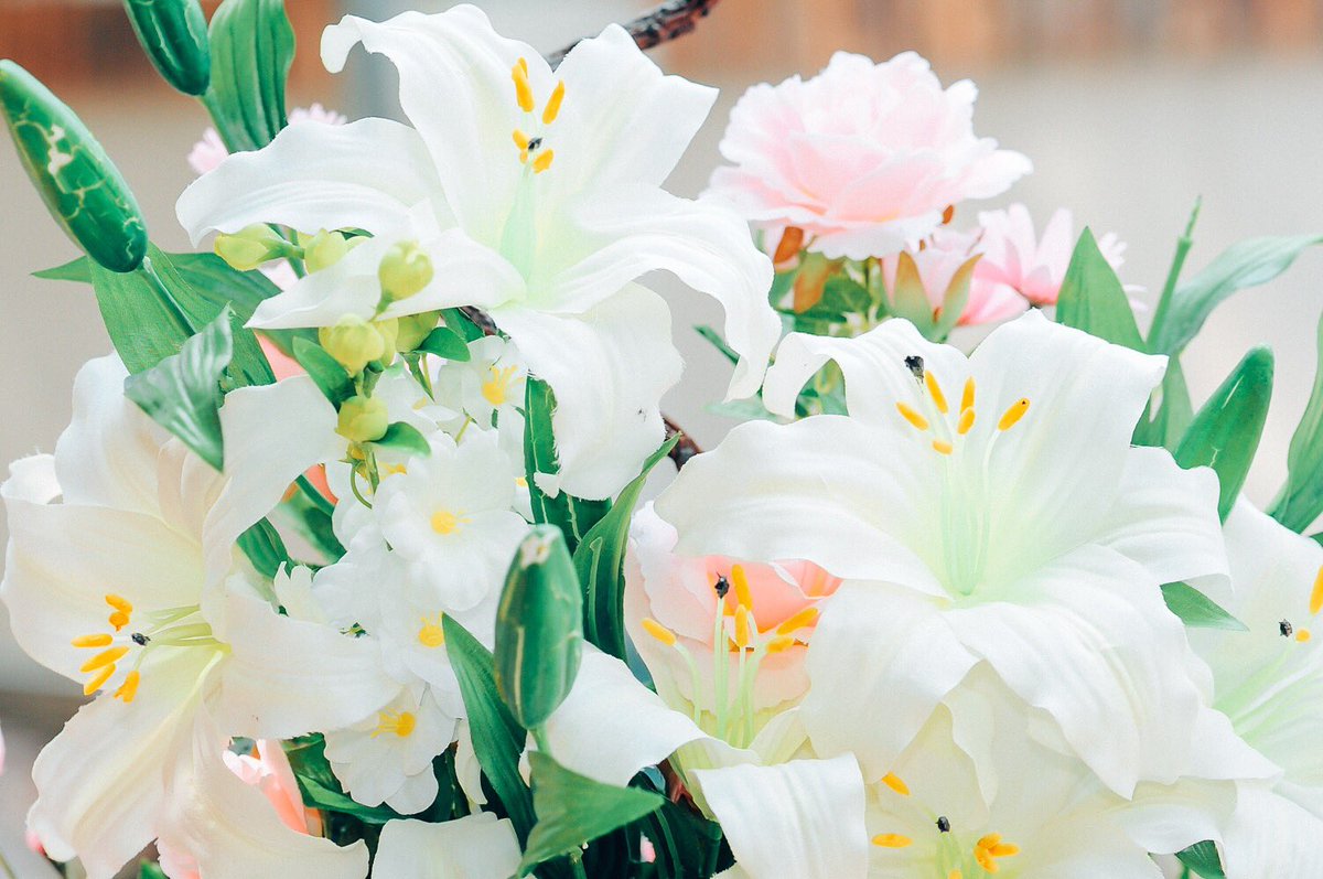 _3rd's tweet image. 今年は春があっという間に終わってしまったなぁ🌸🍃