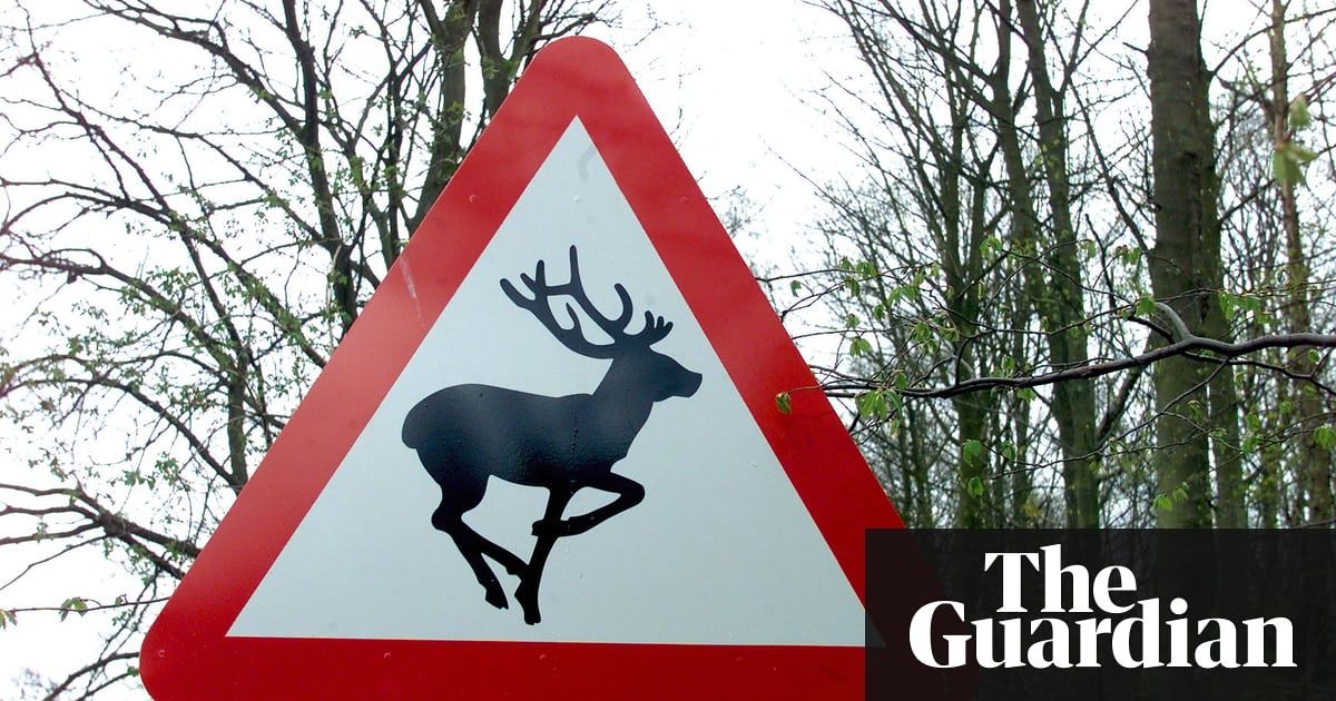 ProofCam's tweet image. Where do all the road collisions with deer occur? | Notes and queries buff.ly/2JGkVDx