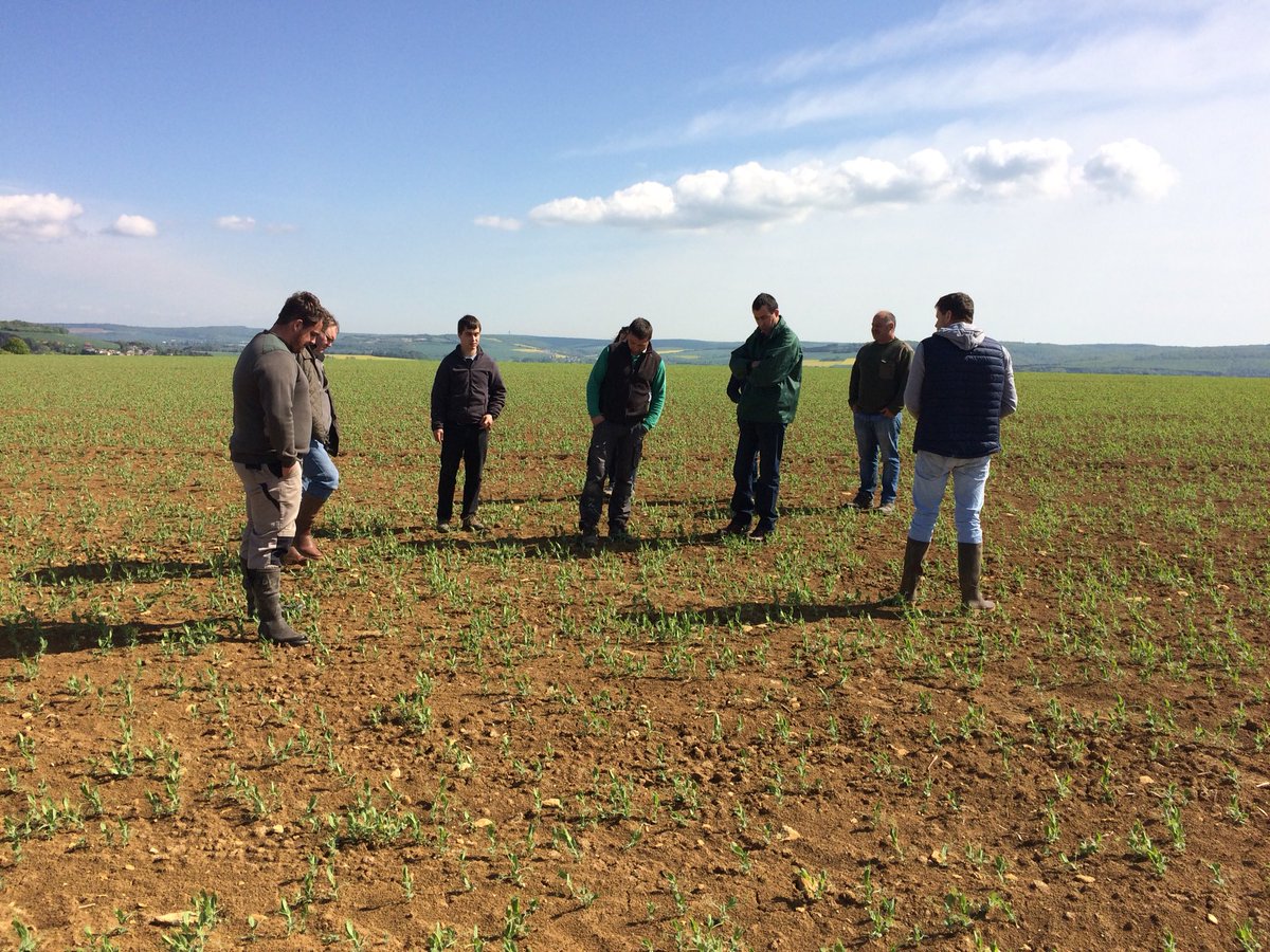 BADURAUX_j's tweet photo. ce matin tour de plaine plaine  groupe #ecophyto @agilemc2 @coopEMC2 #produireplusetmieux @Mathias55971 https://t.co/W1Y0izN1WW