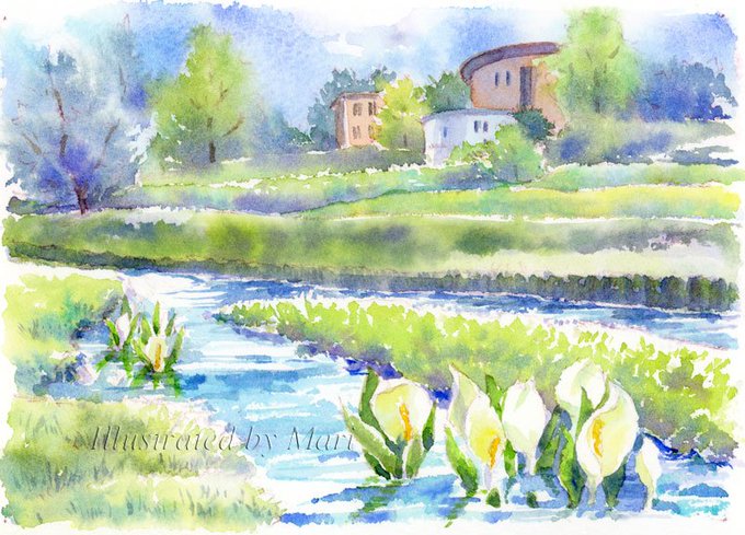水芭蕉のtwitterイラスト検索結果 古い順